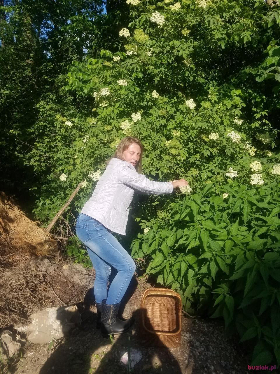 sylwia, Kobieta, 44, Bytom, Polska, Zdjęcie: 3
