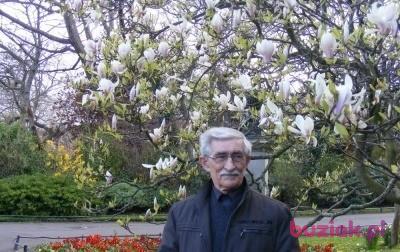 torus39, Mężczyzna, 87, Wodzisław Śląski, Polska, Zdjęcie: 3