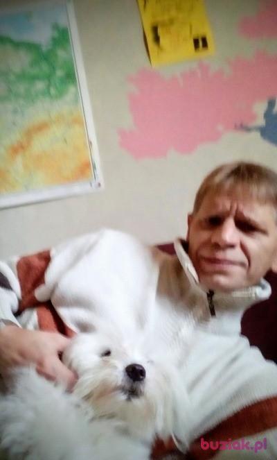 wieslaw, Mężczyzna, 60, Wejherowo, Polska, Zdjęcie: 4