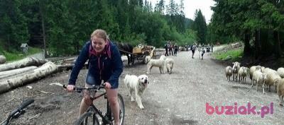 Małgorzata, Kobieta, 29, Piotrków Trybunalski, Polska, Zdjęcie: 3