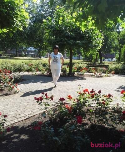 ewa, Kobieta, 67, Oss, Holandia, Zdjęcie: 4