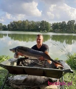 Adam, Mężczyzna, 40, Błonie, Polska, Zdjęcie: 2