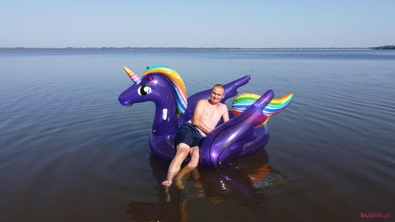 Michał, Male, 37, Zgierz, Polska, Photo: 613