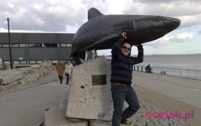 Paweł, Mężczyzna, 48, Doncaster, Wielka Brytania, Zdjęcie: 2