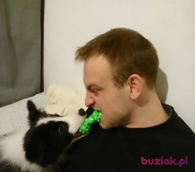 Tomasz, Mężczyzna, 33, Wrocław, Polska, Zdjęcie: 2