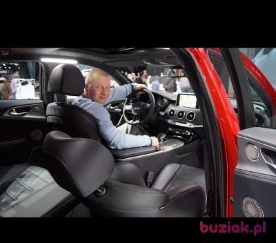 Daniel , Mężczyzna, 48, Irlandia, Zdjęcie: 2