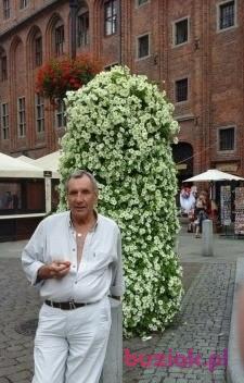 Andrzej, Mężczyzna, 73, Gliwice, Polska, Zdjęcie: 2