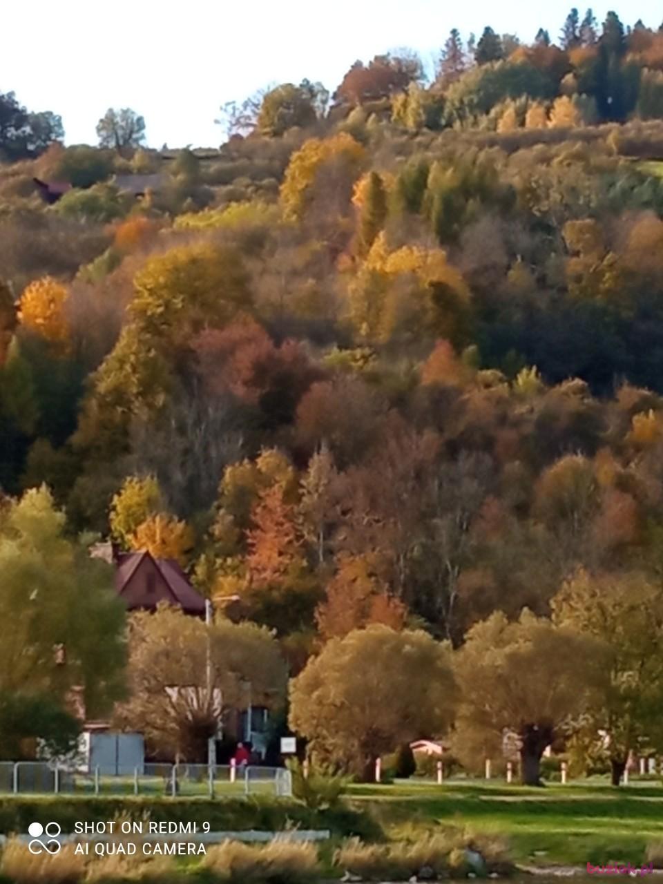 Adam, Mężczyzna, 67, Szczawnica, Polska, Zdjęcie: 10