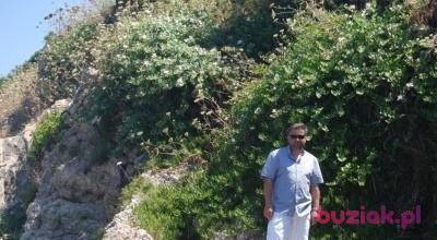 Wojciech, Mężczyzna, 56, Mikołów, Polska, Zdjęcie: 3