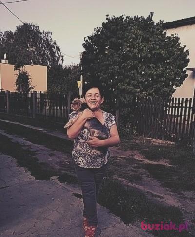 Irena, Kobieta, 61, Gdańsk, Polska, Zdjęcie: 2