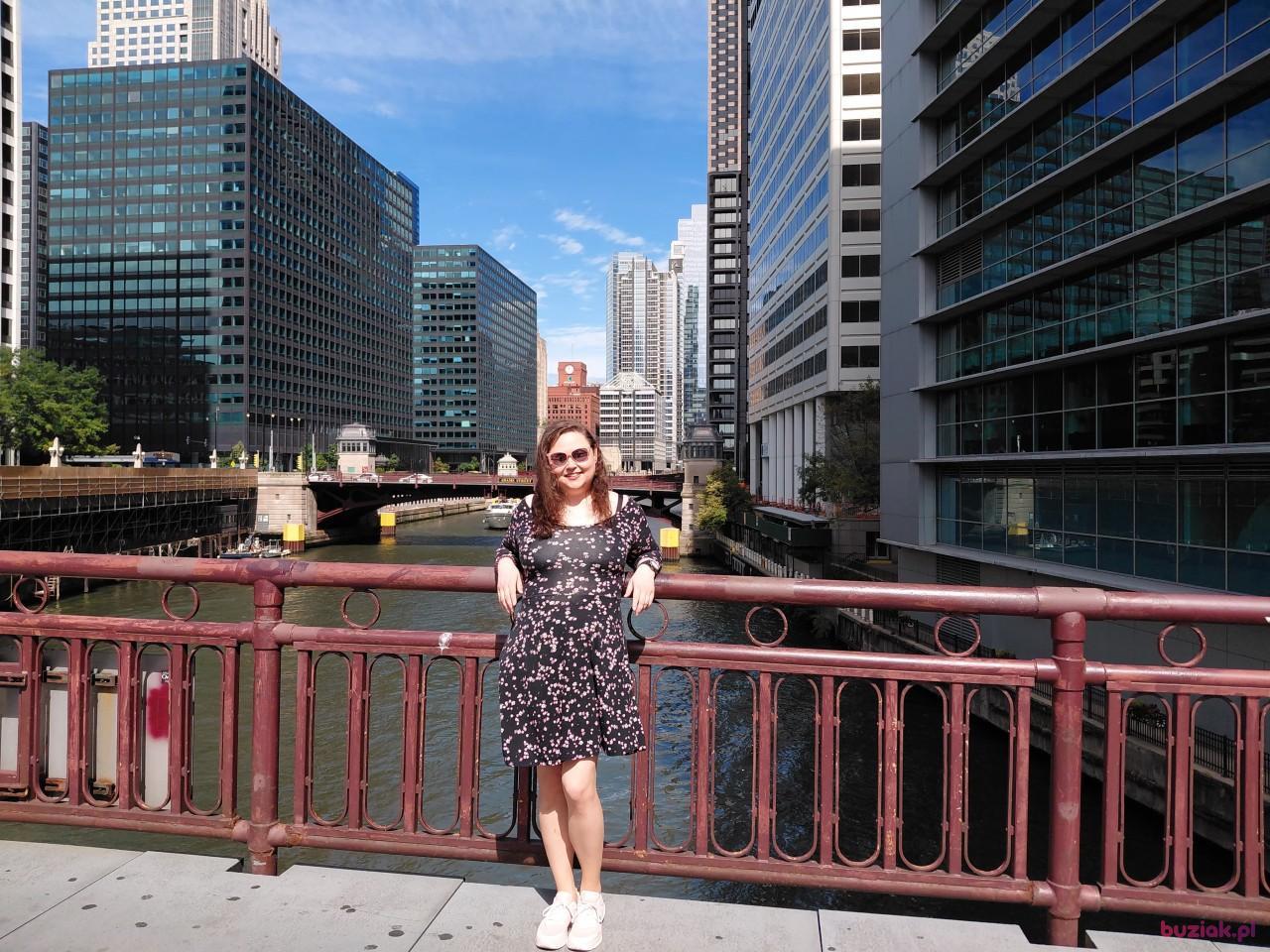 Ana, Kobieta, 38, Chicago, USA, Zdjęcie: 2