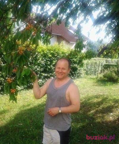 Henry1, Mężczyzna, 60, Heilbronn, Niemcy, Zdjęcie: 2