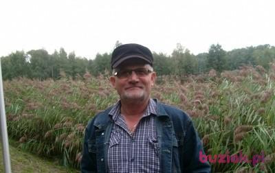 adam, Mężczyzna, 69, Ostrów Wielkopolski, Polska, Zdjęcie: 2