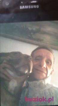 Ryszard, Mężczyzna, 63, Hilton, Wielka Brytania, Zdjęcie: 10