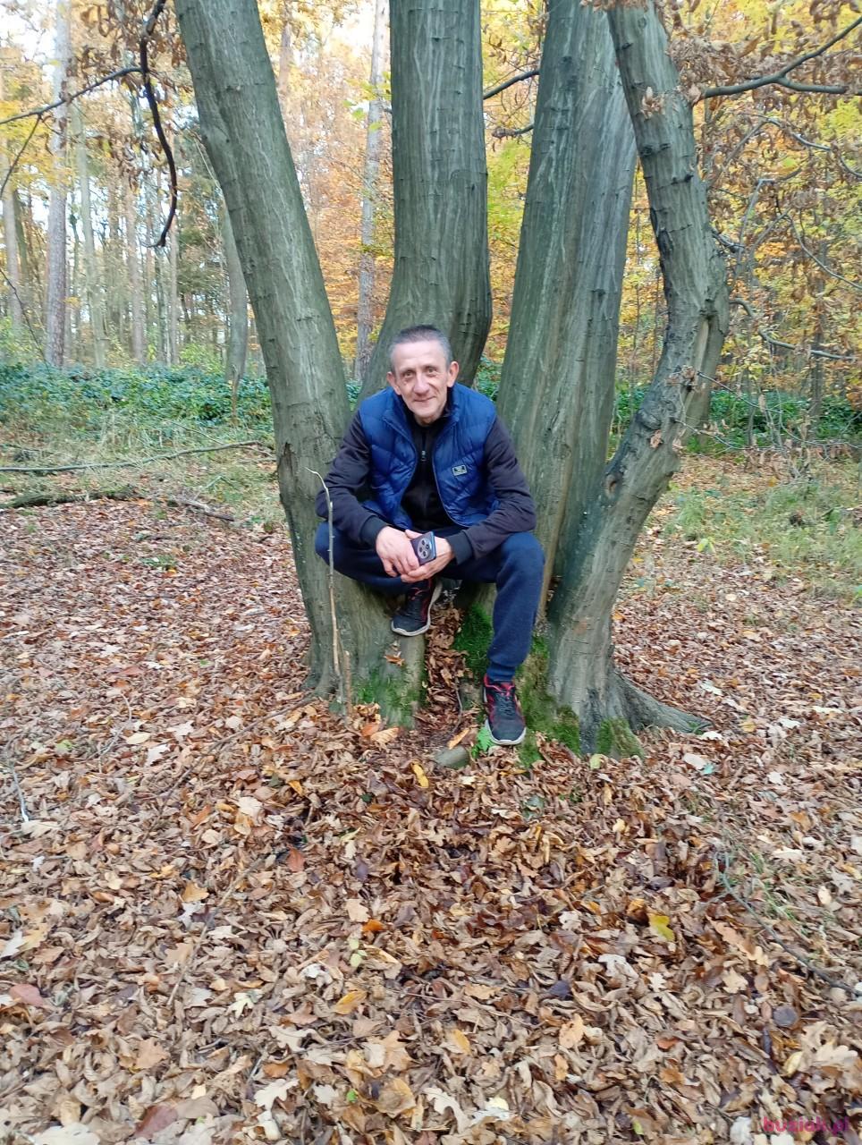 rafał, Mężczyzna, 46, Jastrzębie Zdrój, Polska, Zdjęcie: 4