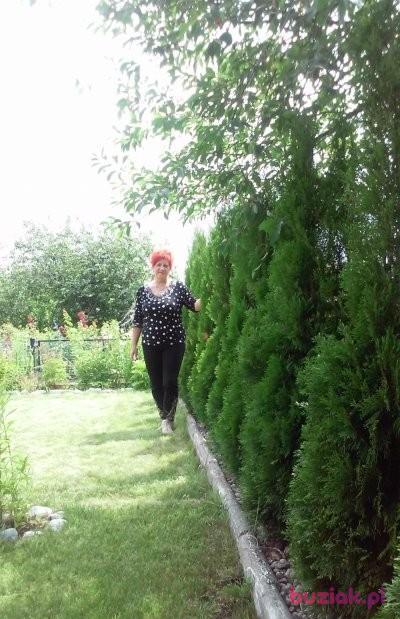 ruda-olka, Kobieta, 70, Rogoźno, Polska, Zdjęcie: 4