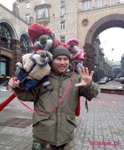 Hubert , Mężczyzna, 38, Nowy Dwór Mazowiecki, Polska, Zdjęcie: 6