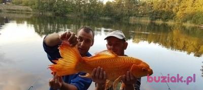 Marcin, Mężczyzna, 45, Nowy Dwór Mazowiecki, Polska, Zdjęcie: 2