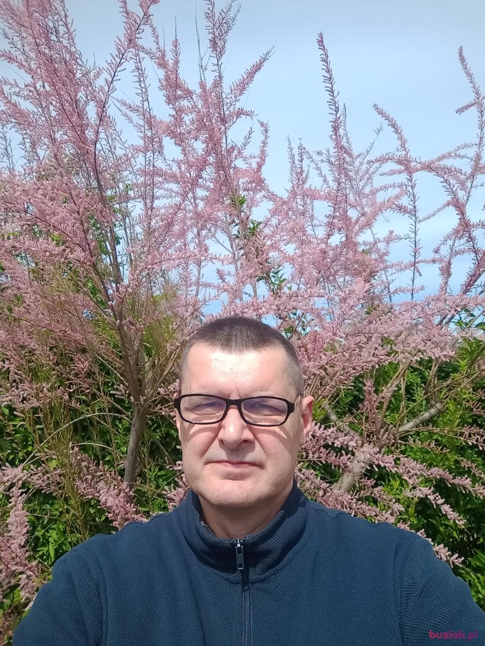 Marcin, Mężczyzna, 50, Barlinek, Polska, Zdjęcie: 3