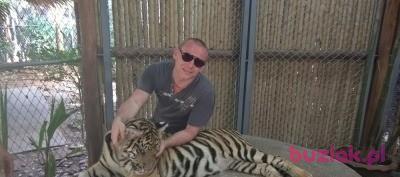 radekolaf, Mężczyzna, 41, Polska, Zdjęcie: 3