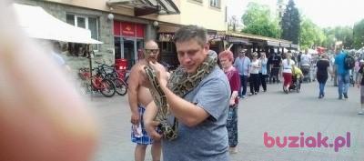 Dawid, Mężczyzna, 44, Bielsko-Biała, Polska, Zdjęcie: 2