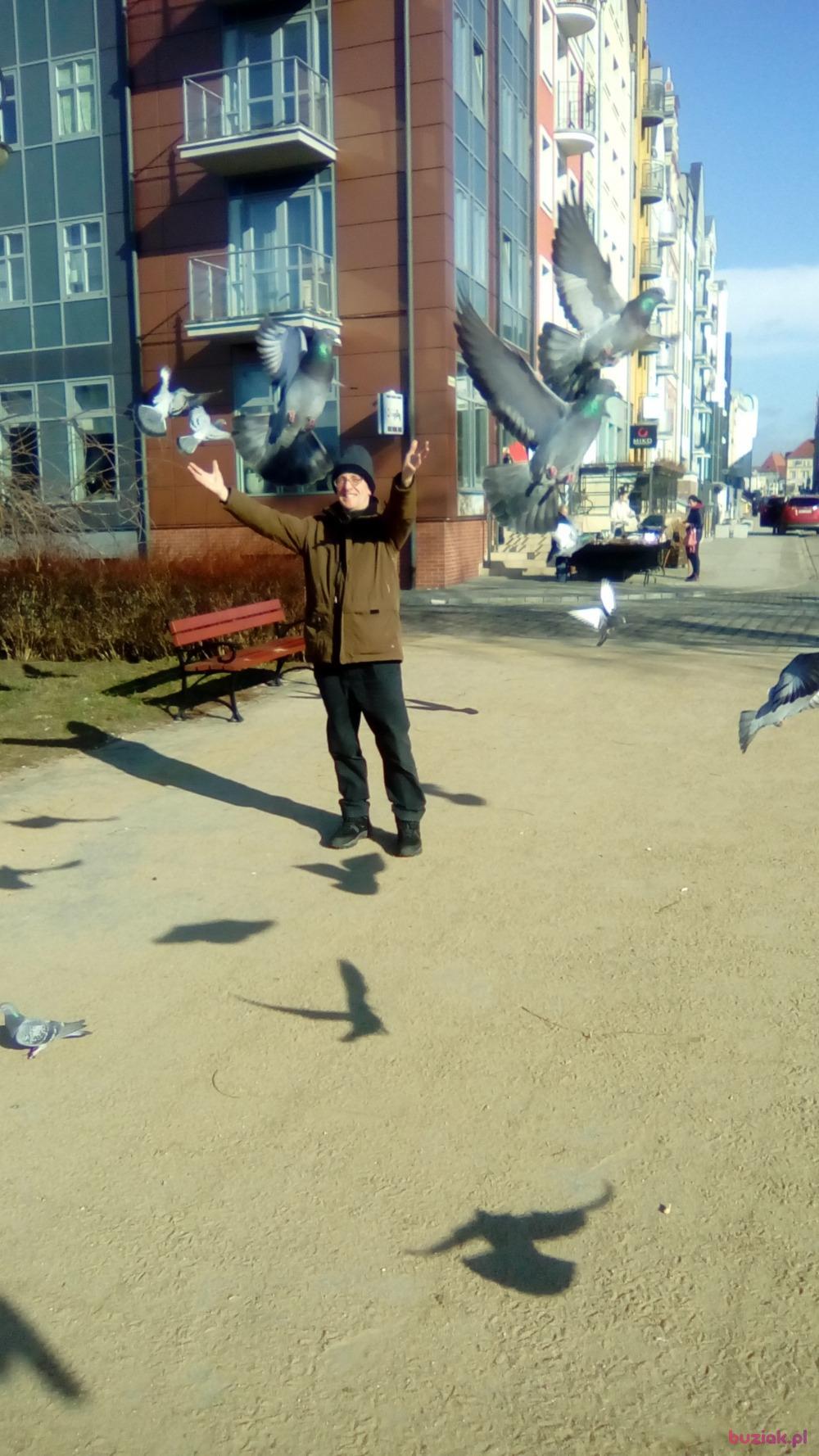 Grzegorz , Male, 65, Elbląg, Polska, Photo: 13