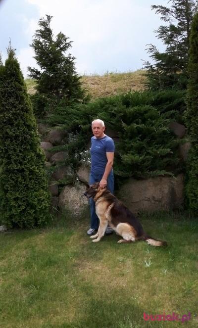 grzegorz, Mężczyzna, 75, Szczecin, Polska, Zdjęcie: 1