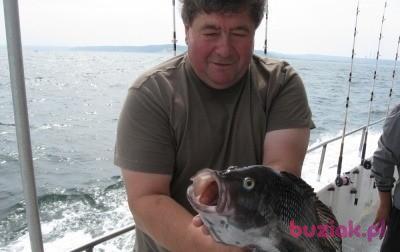 Janek, Mężczyzna, 68, USA, Zdjęcie: 2
