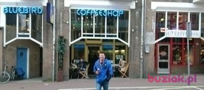 M80K, Male, 46, Lisse, Holandia, Photo: 1