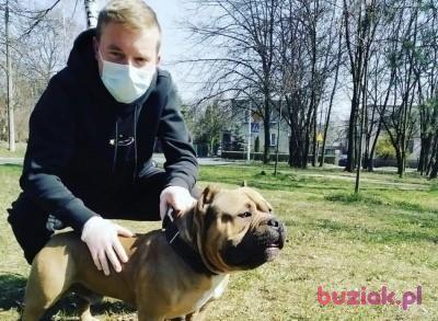 Marek, Mężczyzna, 28, Arcen, Holandia, Zdjęcie: 2