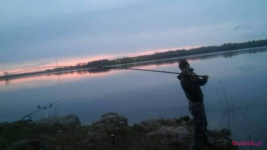 Dawid, Mężczyzna, 29, Jawor, Polska, Zdjęcie: 2