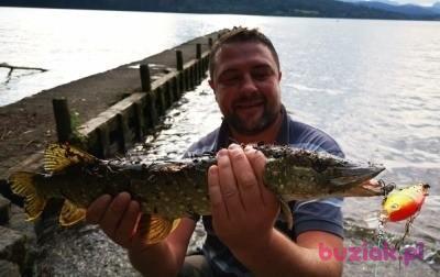 Max, Mężczyzna, 48, Łomża, Polska, Zdjęcie: 4