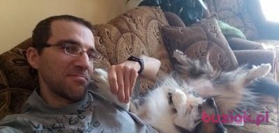 Tomek, Mężczyzna, 54, Poznań, Polska, Zdjęcie: 5