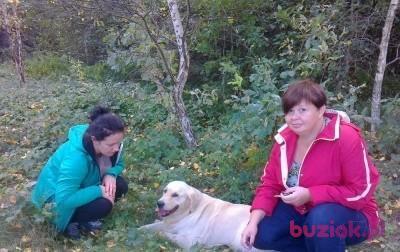 Ela, Kobieta, 54, Gorzów Wielkopolski, Polska, Zdjęcie: 3