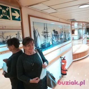 Halina, Kobieta, 81, Mikołów, Polska, Zdjęcie: 22