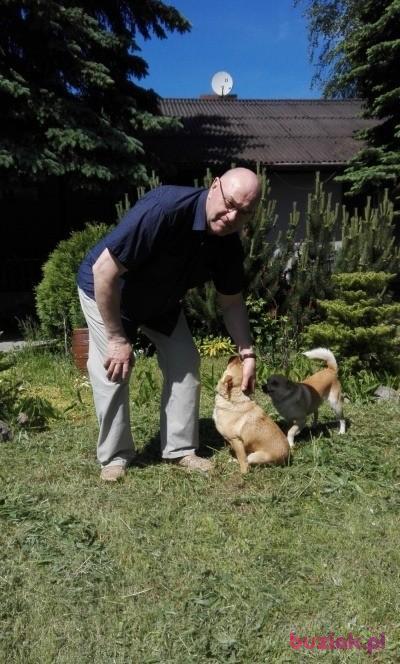 Krzysztof, Mężczyzna, 72, Łódź, Polska, Zdjęcie: 2