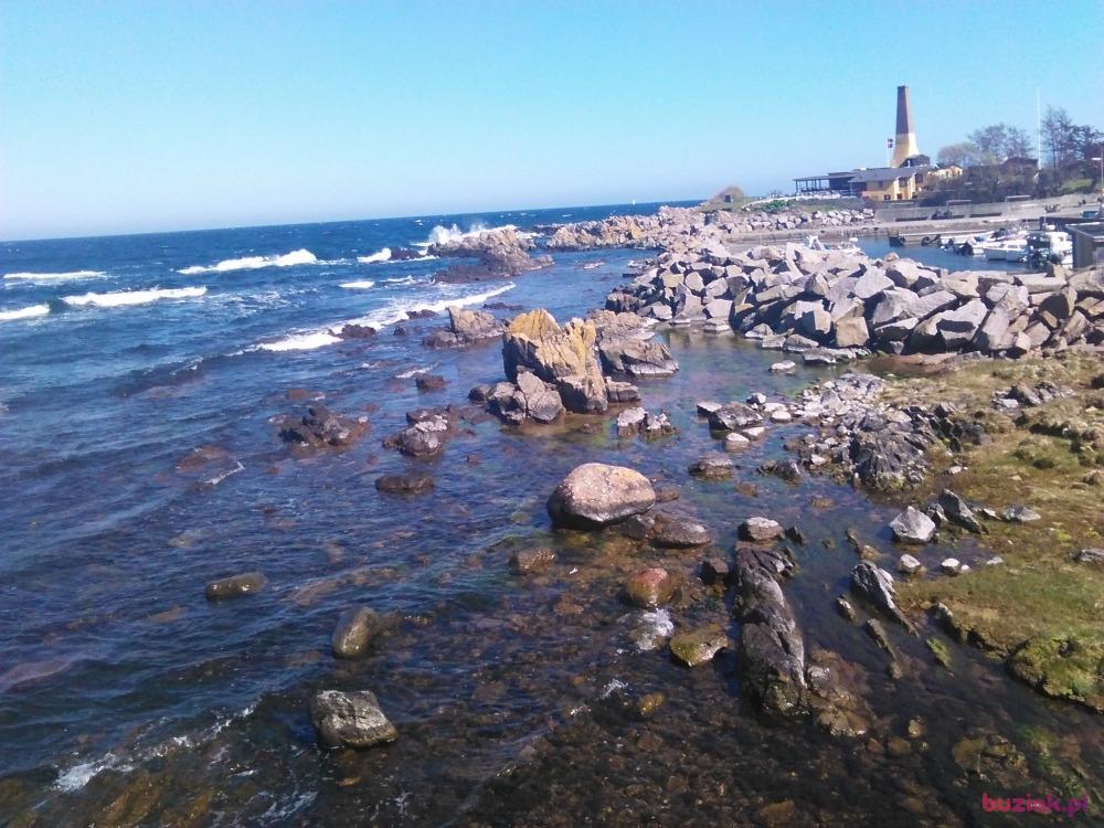 Rob, Male, 61, Plymouth, Wielka Brytania, Photo: 4