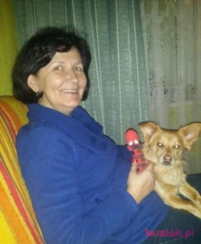 Małgorzata, Female, 63, Warszawa, Polska, Photo: 4