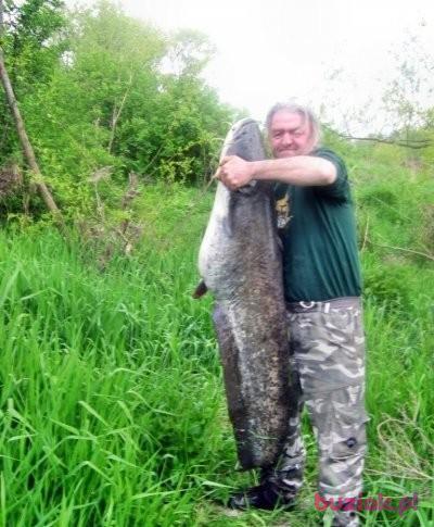 bonifacy, Mężczyzna, 66, Kraków, Polska, Zdjęcie: 4