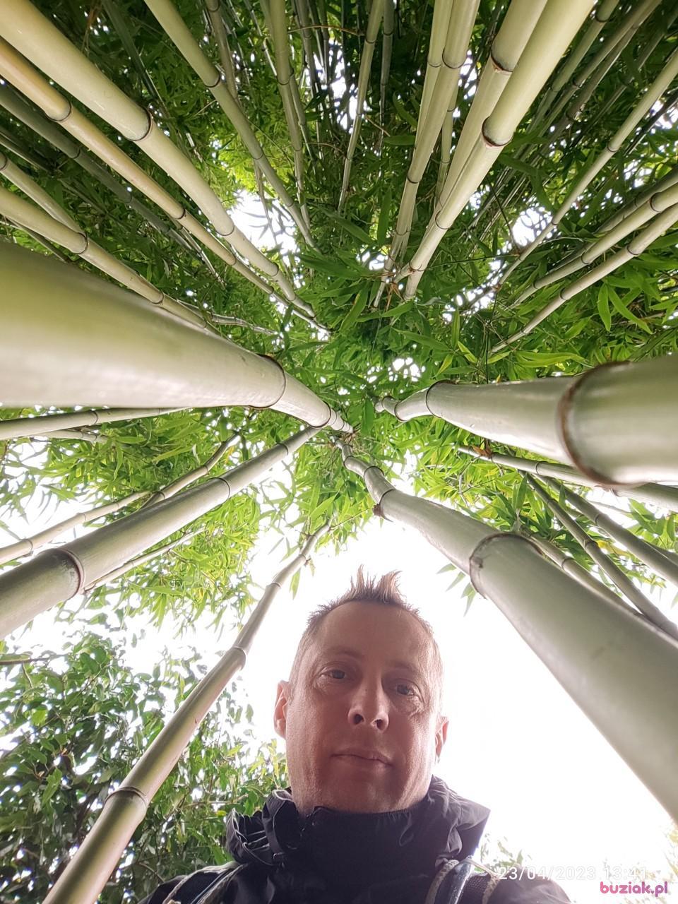 Tomek, Mężczyzna, 45, Broxbourne, Wielka Brytania, Zdjęcie: 7