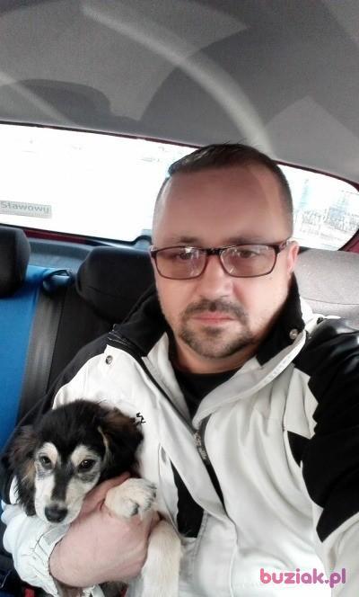 Wojtek, Mężczyzna, 51, Bielsko-Biała, Polska, Zdjęcie: 3