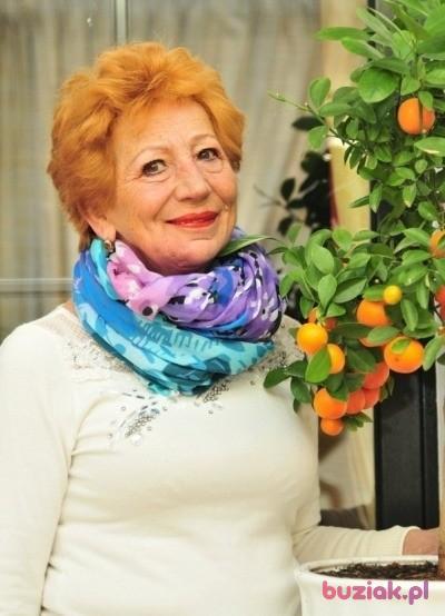 krystyna, Kobieta, 70, Poznań, Polska, Zdjęcie: 3