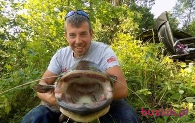Slawek, Mężczyzna, 39, Zabrze, Polska, Zdjęcie: 3