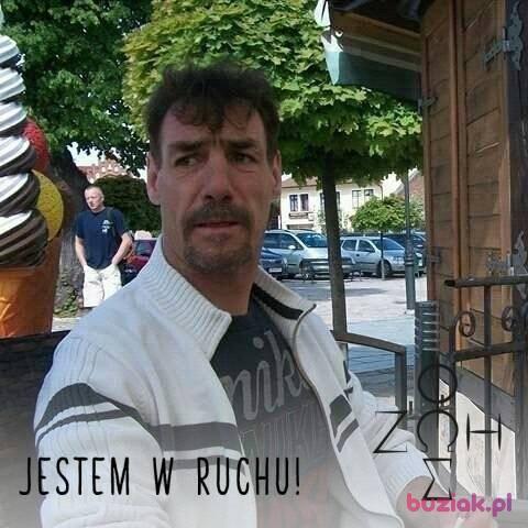 Robert, Mężczyzna, 52, Zoetermeer, Holandia, Zdjęcie: 1