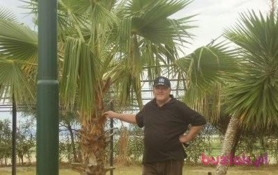 arkadiusz , Mężczyzna, 67, Ząbkowice Śląskie, Polska, Zdjęcie: 1