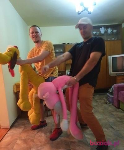 Adrian, Mężczyzna, 31, Kalisz, Polska, Zdjęcie: 5
