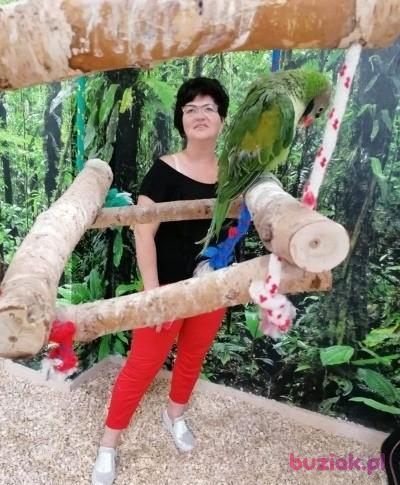 Doriss, Kobieta, 64, Ostrołęka, Polska, Zdjęcie: 4