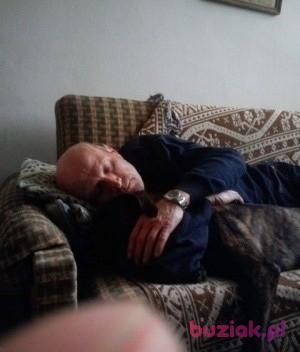 piotr, Mężczyzna, 70, Lublin, Polska, Zdjęcie: 2