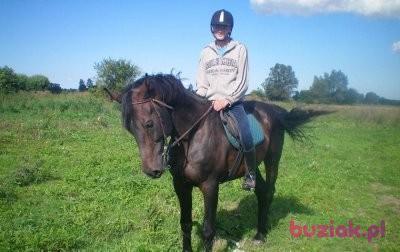 Daniel, Mężczyzna, 31, Pruszcz Gdański, Polska, Zdjęcie: 1