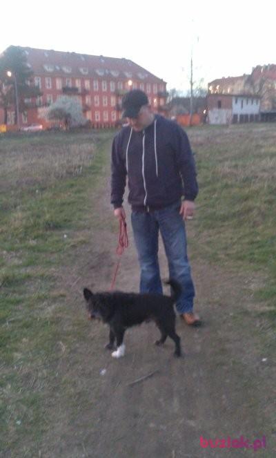 pawel, Mężczyzna, 57, Legnica, Polska, Zdjęcie: 3